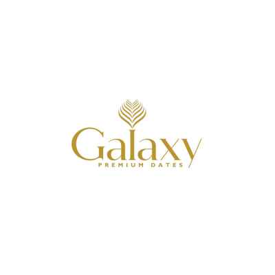 LOGO | GALAXY